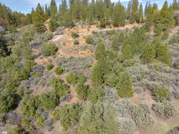 a view of a forest covered with trees