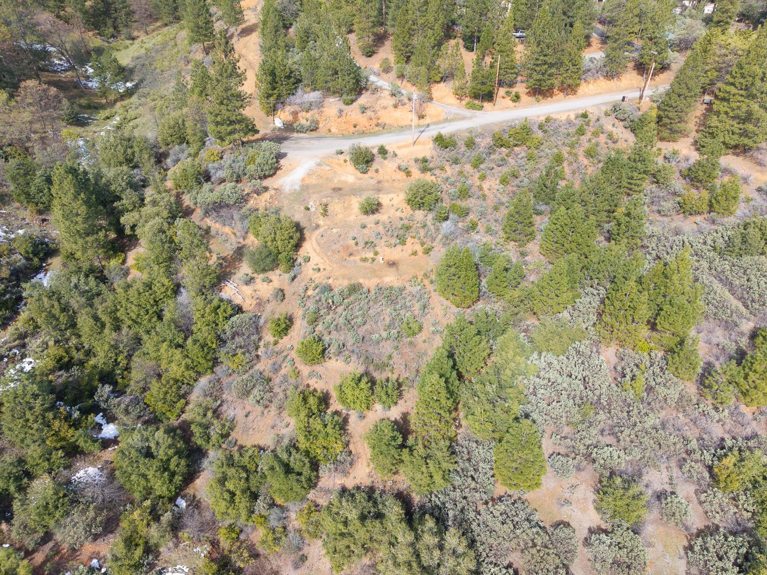 5776 Prospector Lane Murphys, CA 95247 - Photo 26 of 39 a view of a yard covered with trees