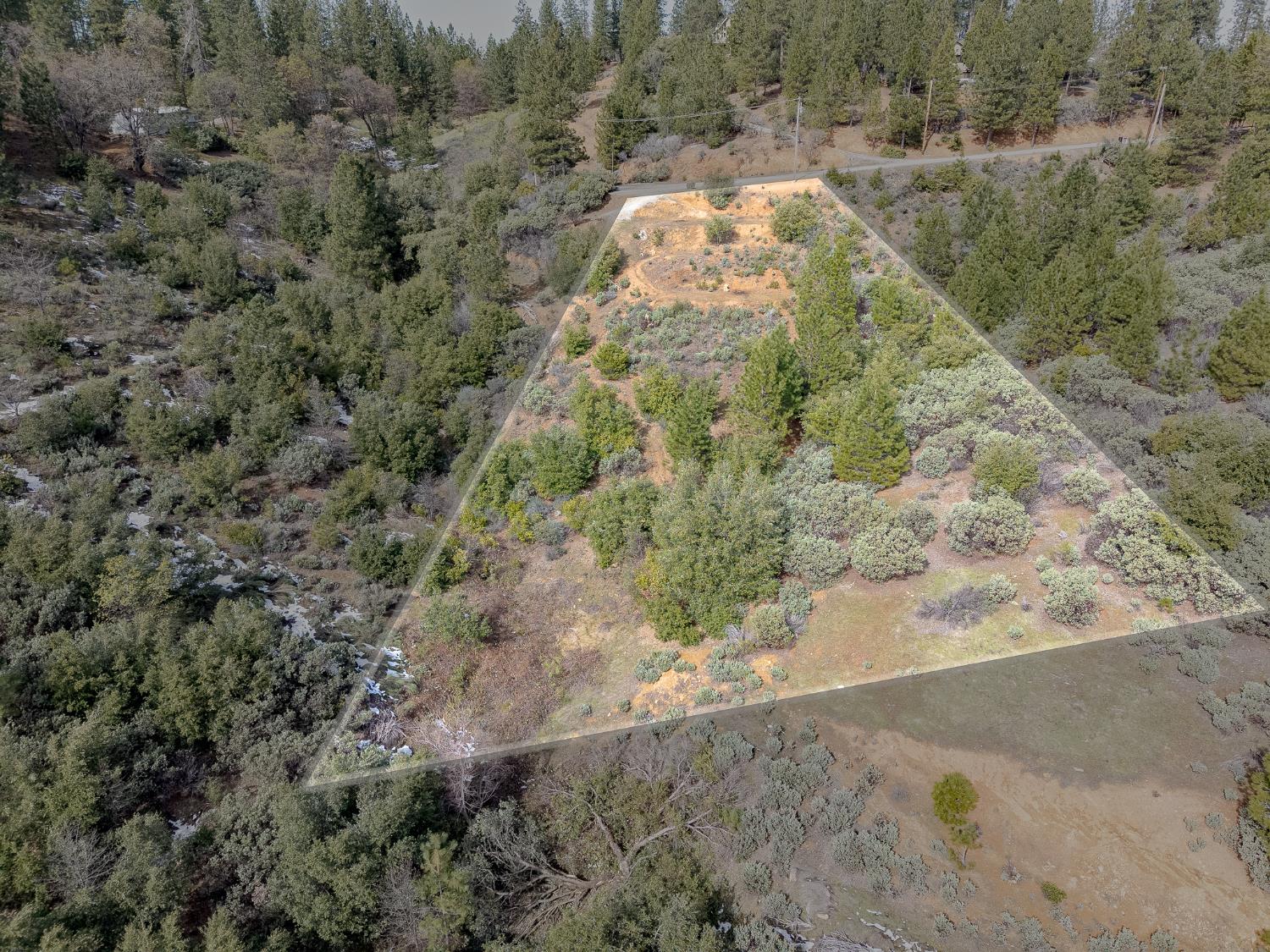 5776 Prospector Lane Murphys, CA 95247 - Photo 28 of 39 a view of a yard with trees