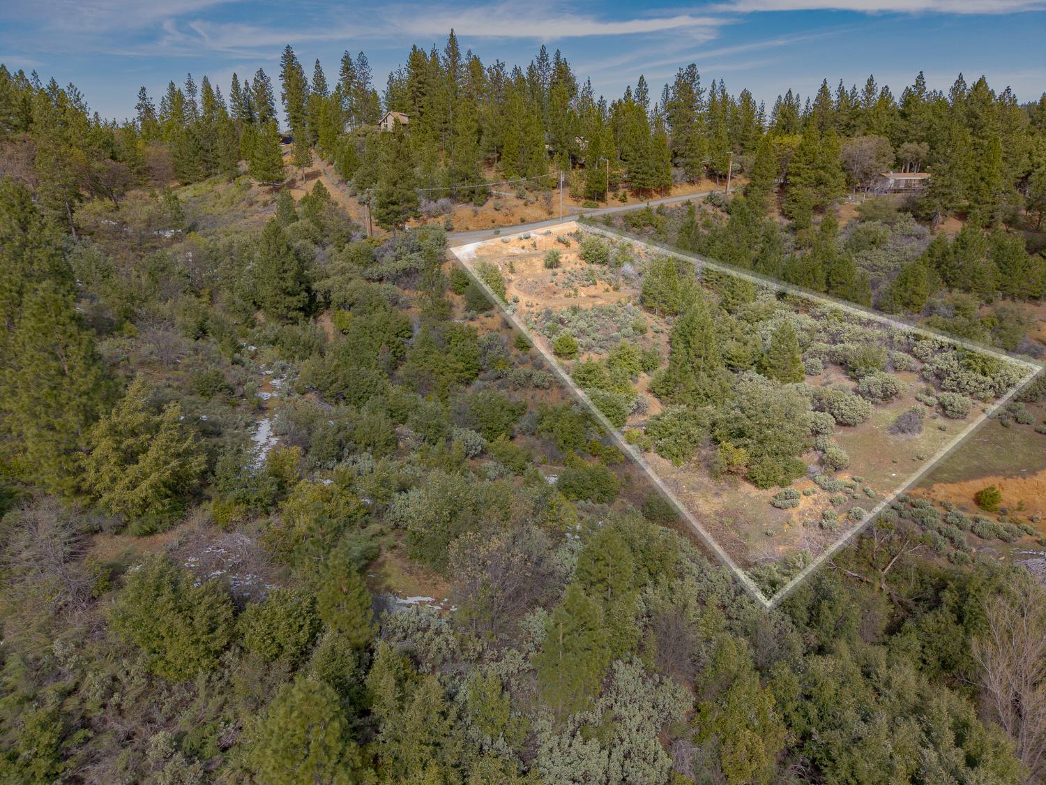 5776 Prospector Lane Murphys, CA 95247 - Photo 29 of 39 a view of a yard with a tree