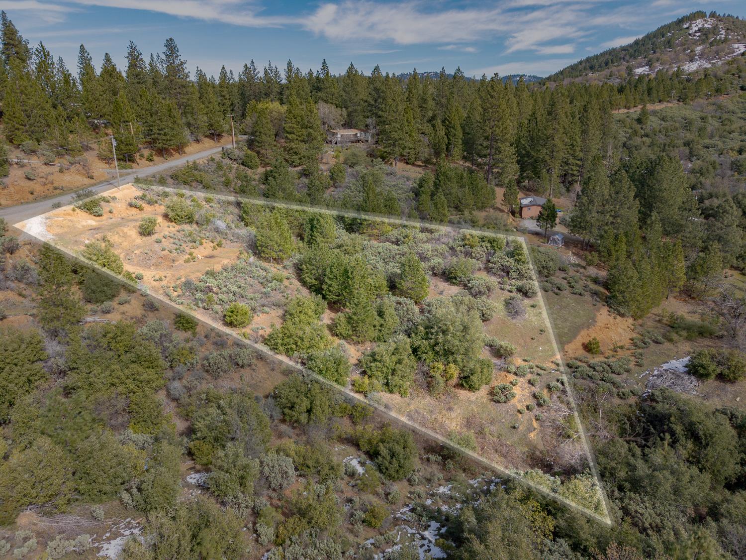 5776 Prospector Lane Murphys, CA 95247 - Photo 30 of 39 a view of a forest with a forest