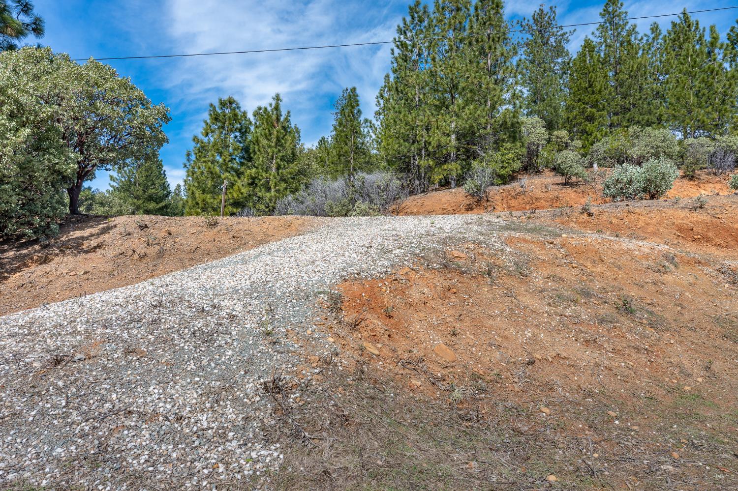 5776 Prospector Lane Murphys, CA 95247 - Photo 3 of 39 a view of dirt yard with a large tree