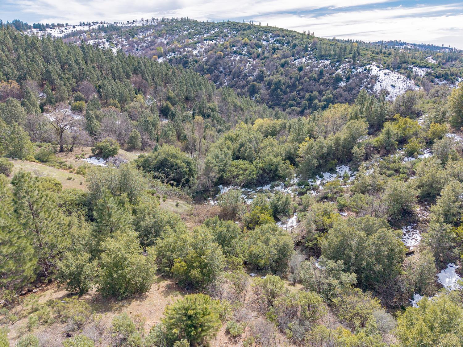 5776 Prospector Lane Murphys, CA 95247 - Photo 32 of 39 a view of a forest with mountains in the background