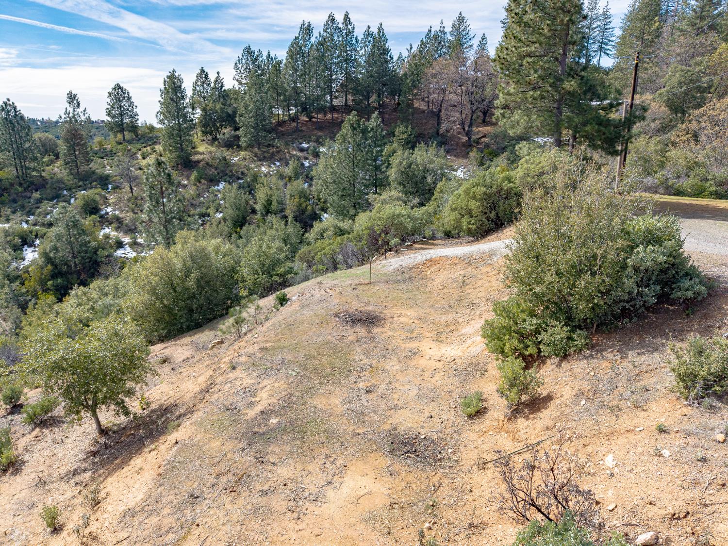 5776 Prospector Lane Murphys, CA 95247 - Photo 35 of 39 a view of a dry yard with trees and bushes
