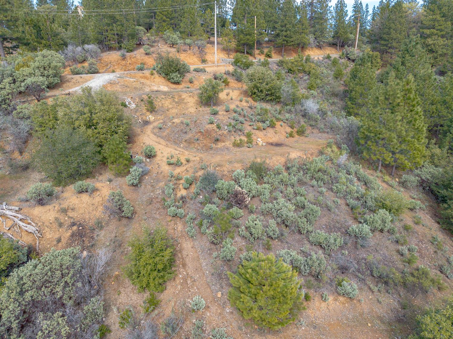 5776 Prospector Lane Murphys, CA 95247 - Photo 38 of 39 a view of a yard with a tree