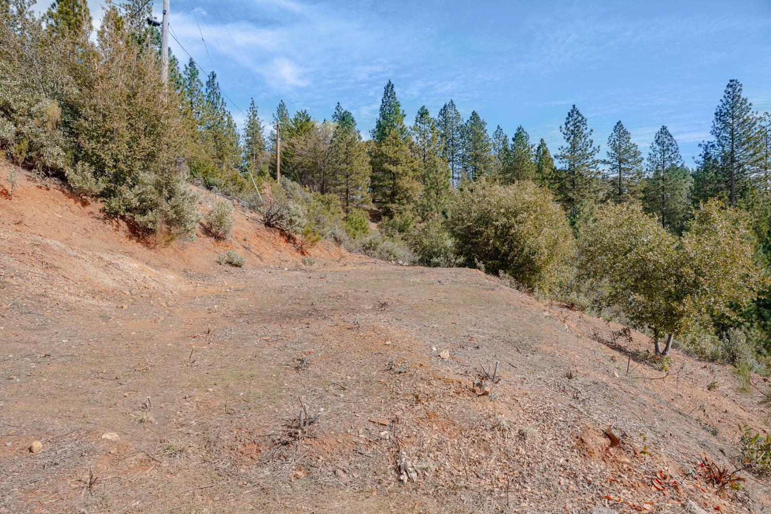 5776 Prospector Lane Murphys, CA 95247 - Photo 4 of 39 a view of a dry yard with trees in the background