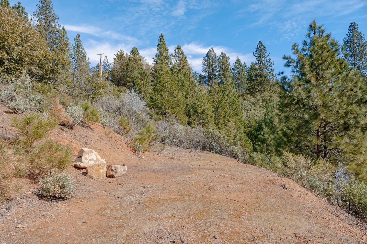 5776 Prospector Lane Murphys, CA 95247 - Photo 6 of 39 a view of a dry yard with trees in back