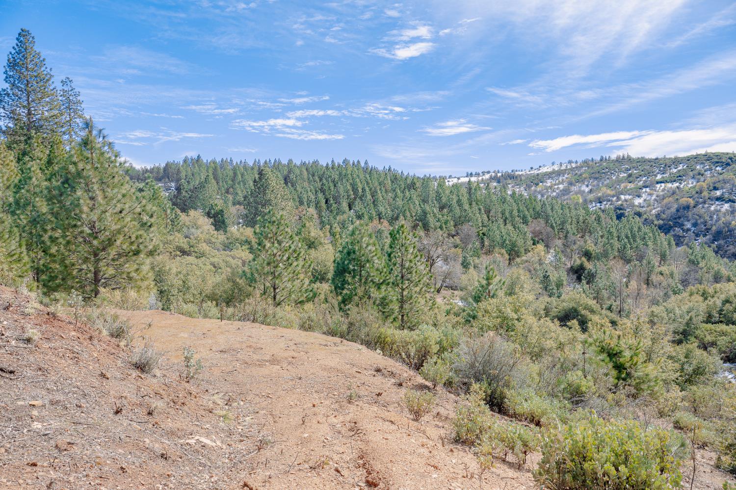 5776 Prospector Lane Murphys, CA 95247 - Photo 7 of 39 a view of a yard with a mountain