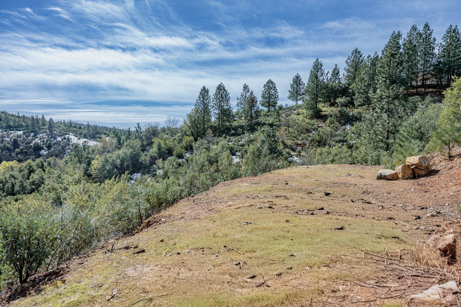 5776 Prospector Lane Murphys, CA 95247 - Photo 8 of 39 a view of a dry yard with trees
