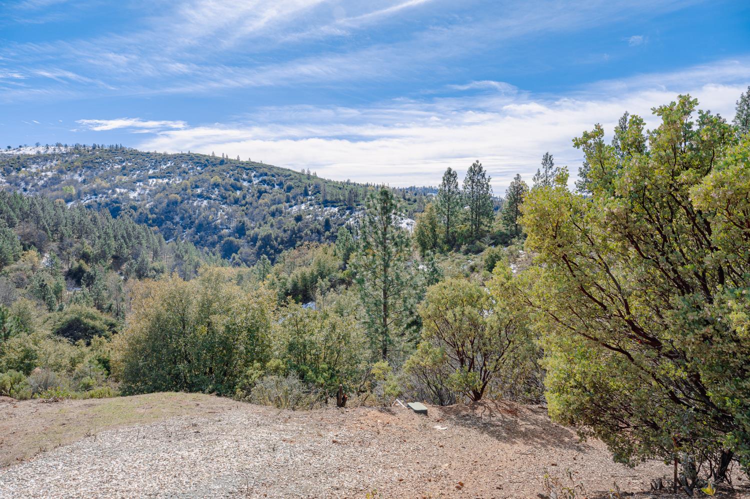 5776 Prospector Lane Murphys, CA 95247 - Photo 10 of 39 a view of a forest with trees in the background