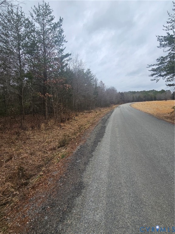 0 Fowler Trail South Boston, VA 24592 - Photo 2 of 2 a view of a field with trees in background