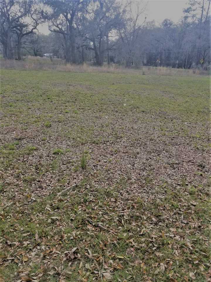 2860 Johnson Stripling Road Perry, FL 32347 - Photo 3 of 12