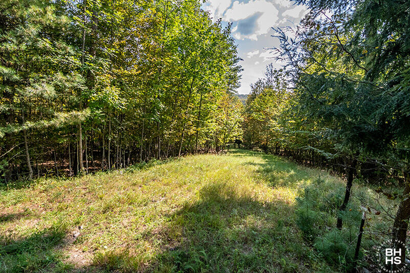 Lot 2 Styles Brook Road Keene, NY 12942 - Photo 2 of 19