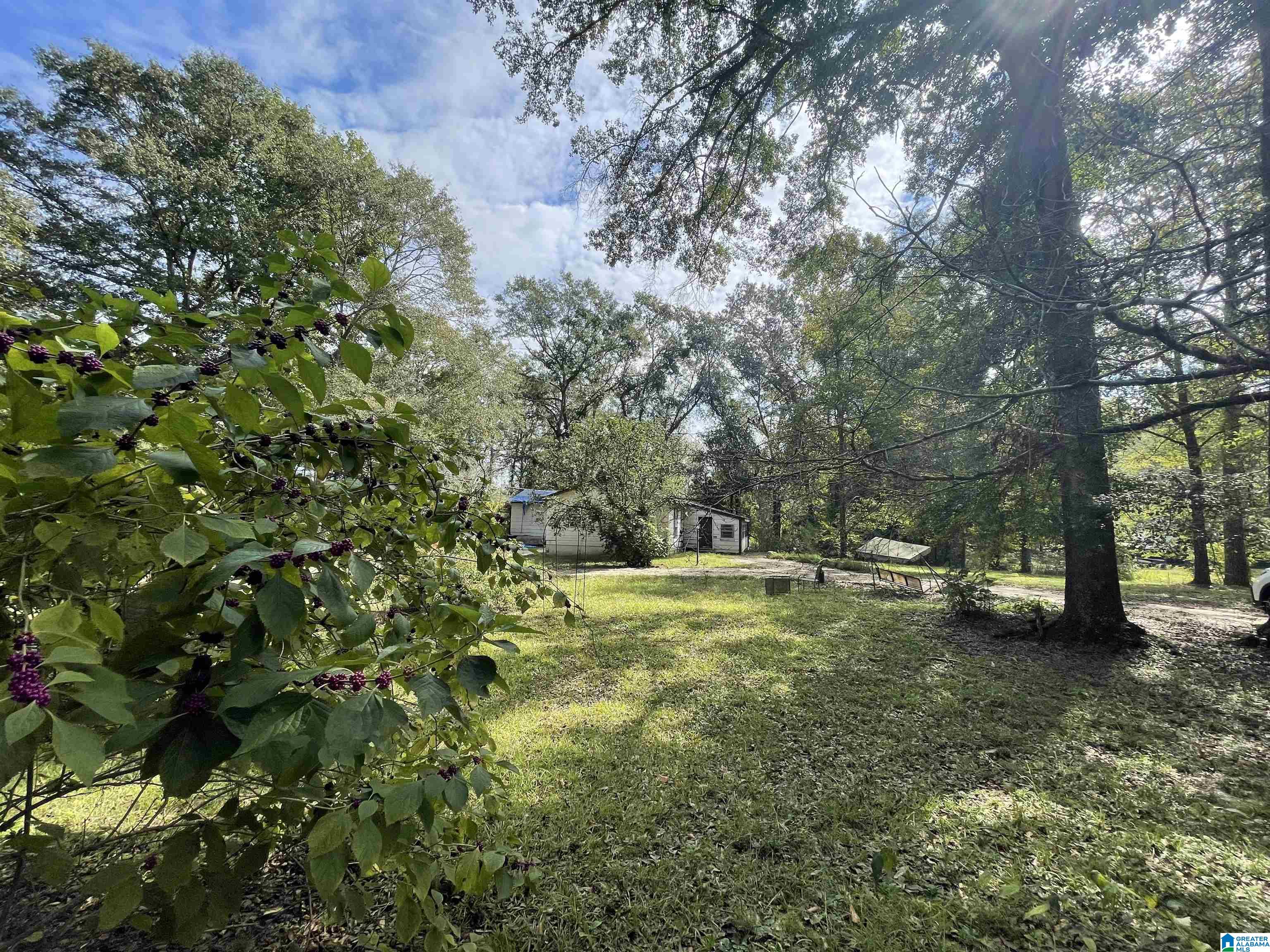 677 Old Walker Road Cleveland, AL 35049 - Photo 1 of 38