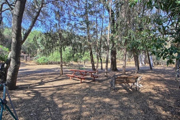 31642 Delaware Road Coarsegold, CA 93614 - Photo 24 of 35 Gallery Image 24