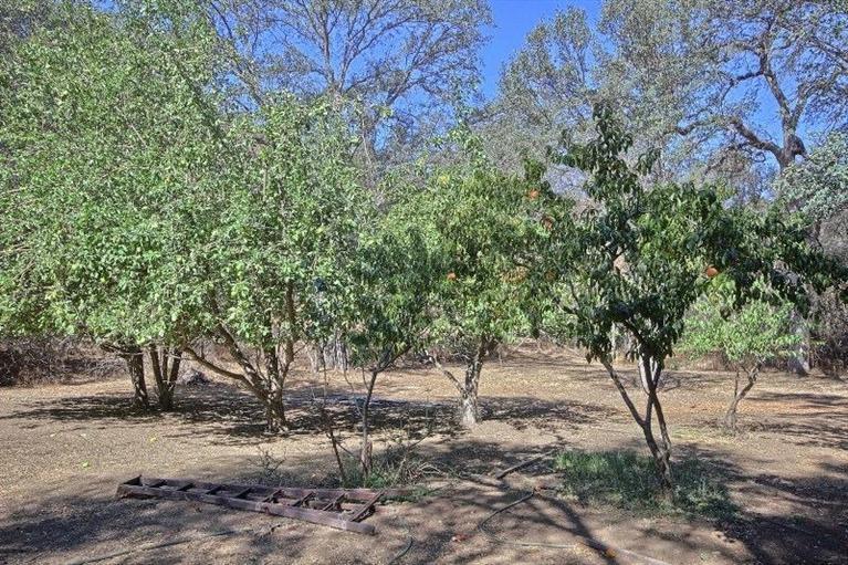31642 Delaware Road Coarsegold, CA 93614 - Photo 32 of 35 Gallery Image 32