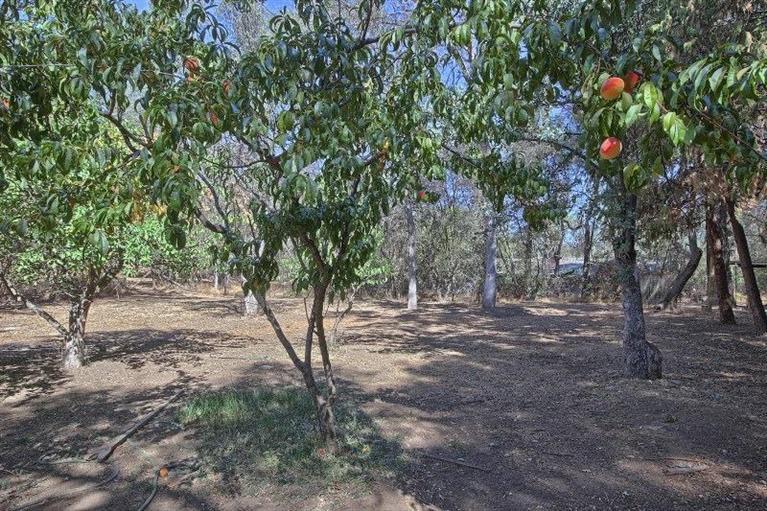 31642 Delaware Road Coarsegold, CA 93614 - Photo 33 of 35 Gallery Image 33