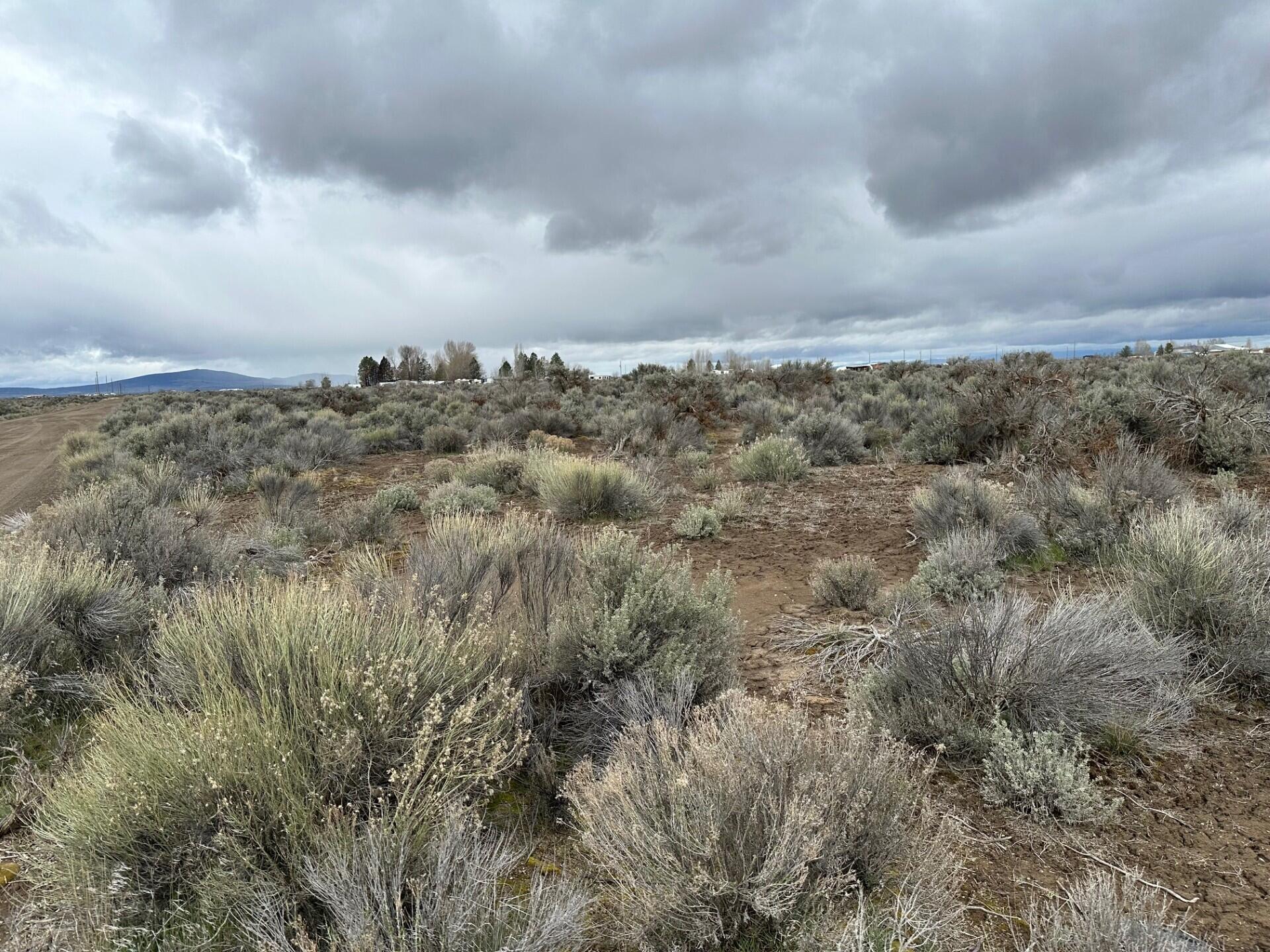 0 Bark Loop Christmas Valley, OR 97641 - Photo 3 of 3 West View