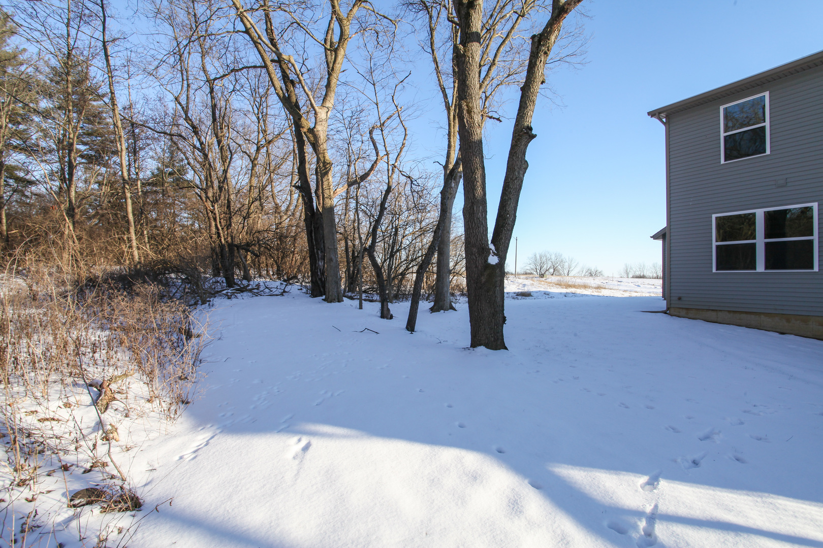 108 Dugan Trail Downs, IL 61736 - Photo 41 of 44 a view of outdoor space and yard