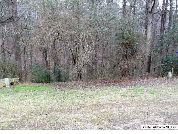 4509 Little River Road, Unit 3 Birmingham, AL 35213 - Photo 14 of 14
