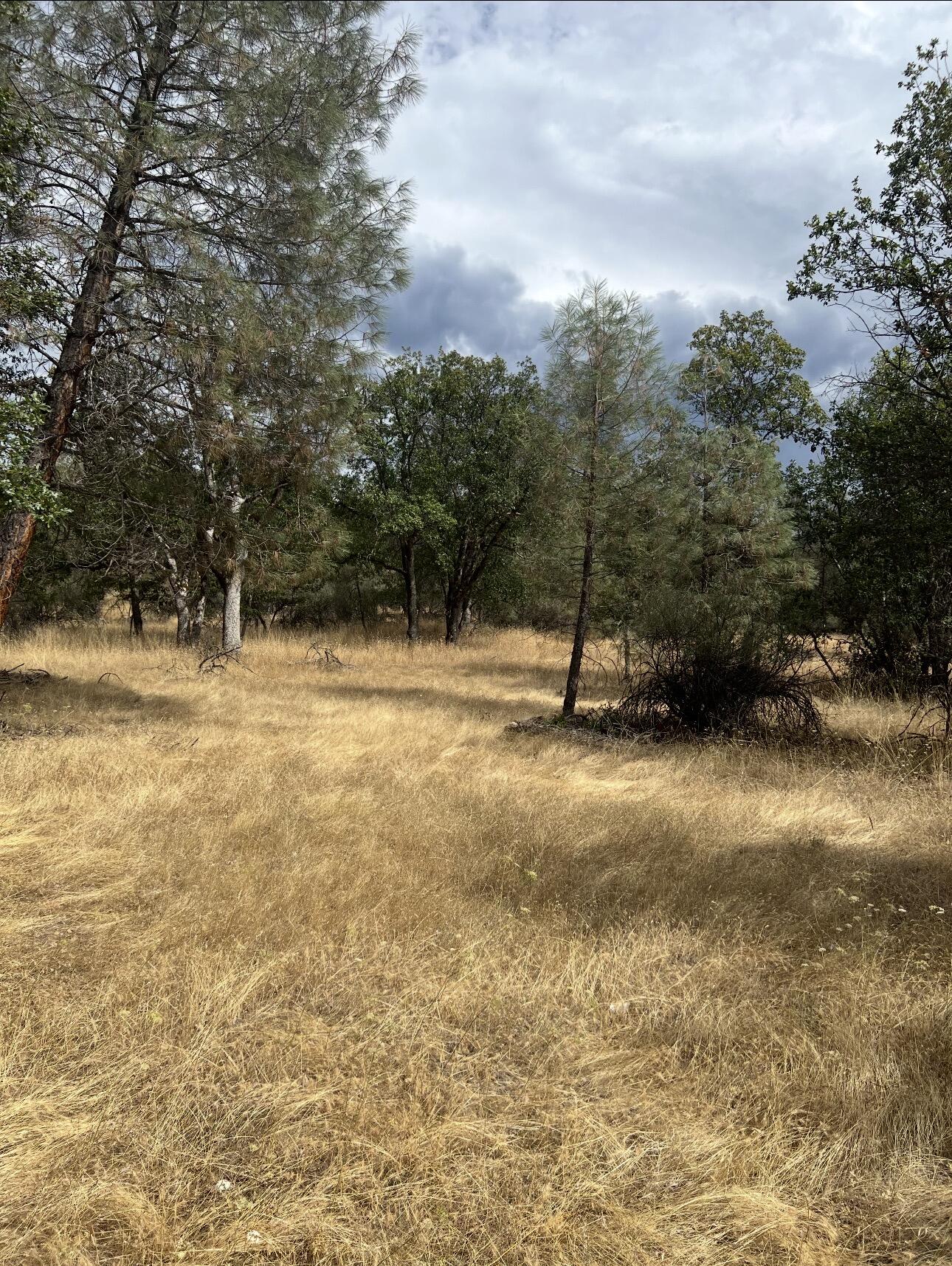 440 Ransom Road Weaverville, CA 96093 - Photo 1 of 25 Gallery Image 1