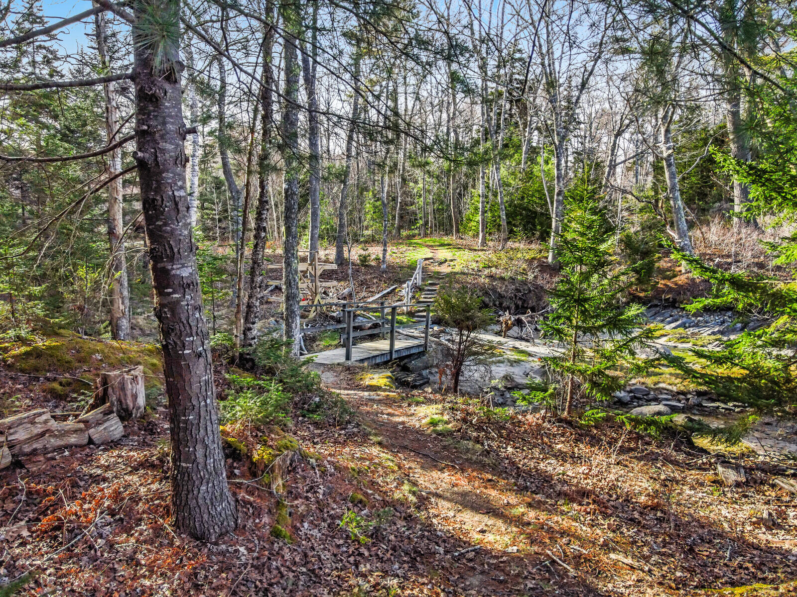 16 Farnham Point Road East Boothbay, ME 04544 - Photo 5 of 86 96_DJI_0776_copy_DxO_mls