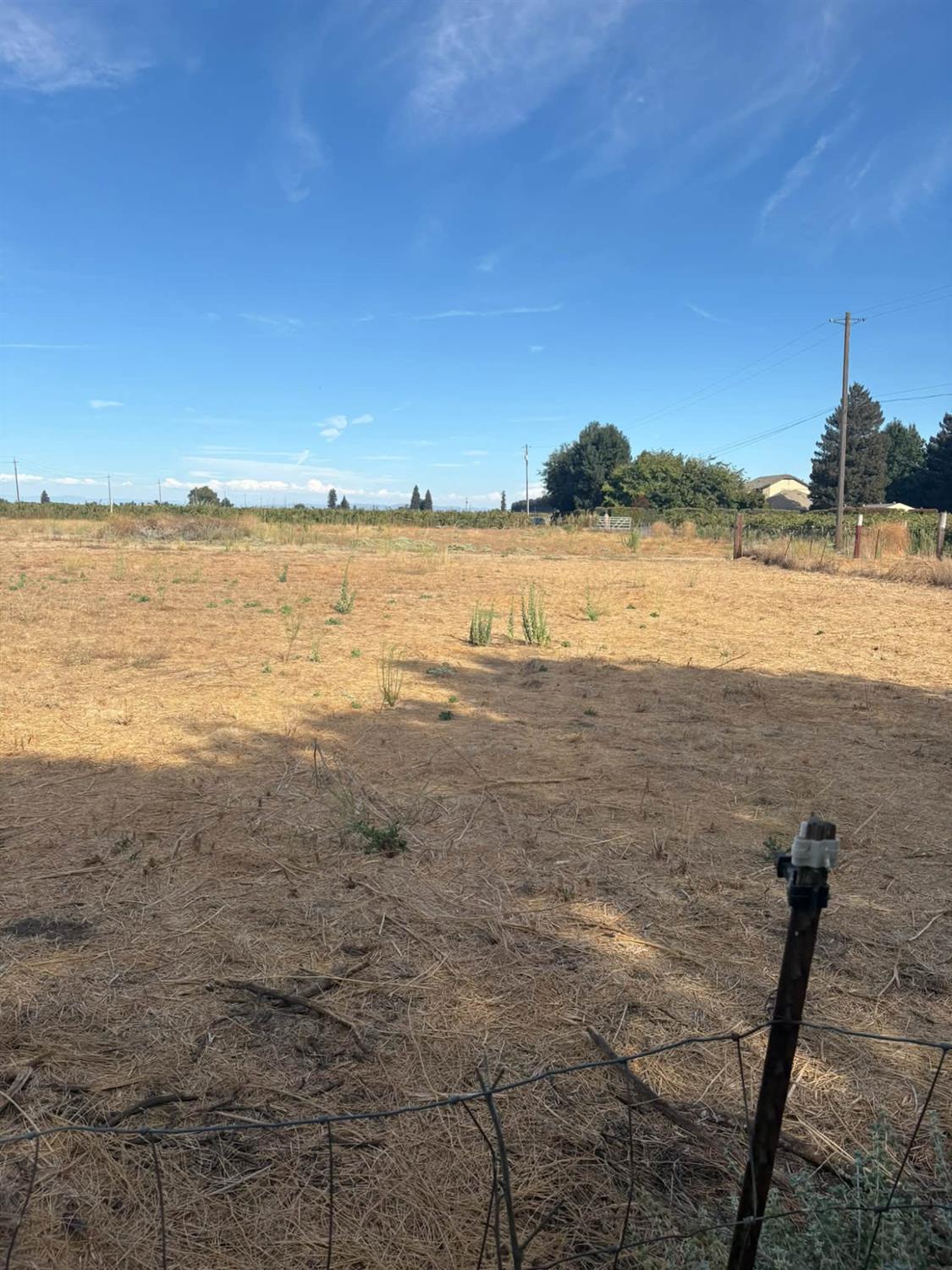 16400 Hoerl Road Lodi, CA 95240 - Photo 34 of 37 Gallery Image 34