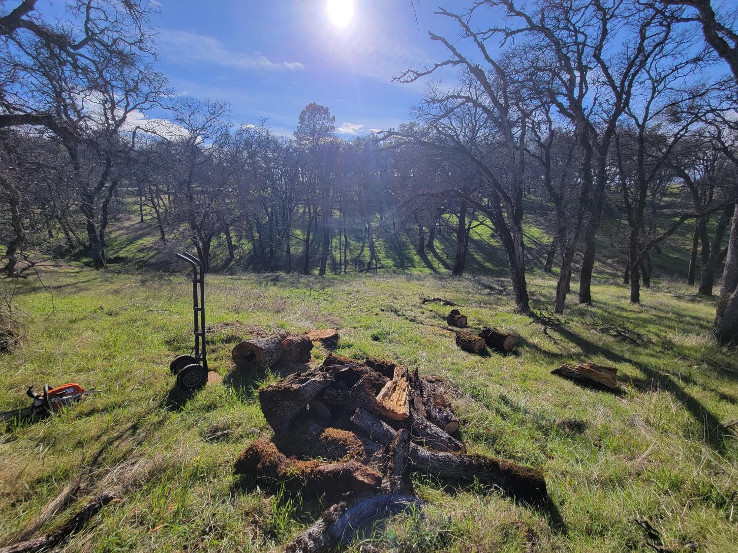 19838 Perimeter Road Grass Valley, CA 95949 - Photo 5 of 30 a backyard of a house with a yard and outdoor seating