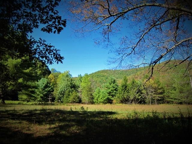 14 Wallace Hollow Road Lindside, WV 24951 - Photo 80 of 89 Gallery Image 80