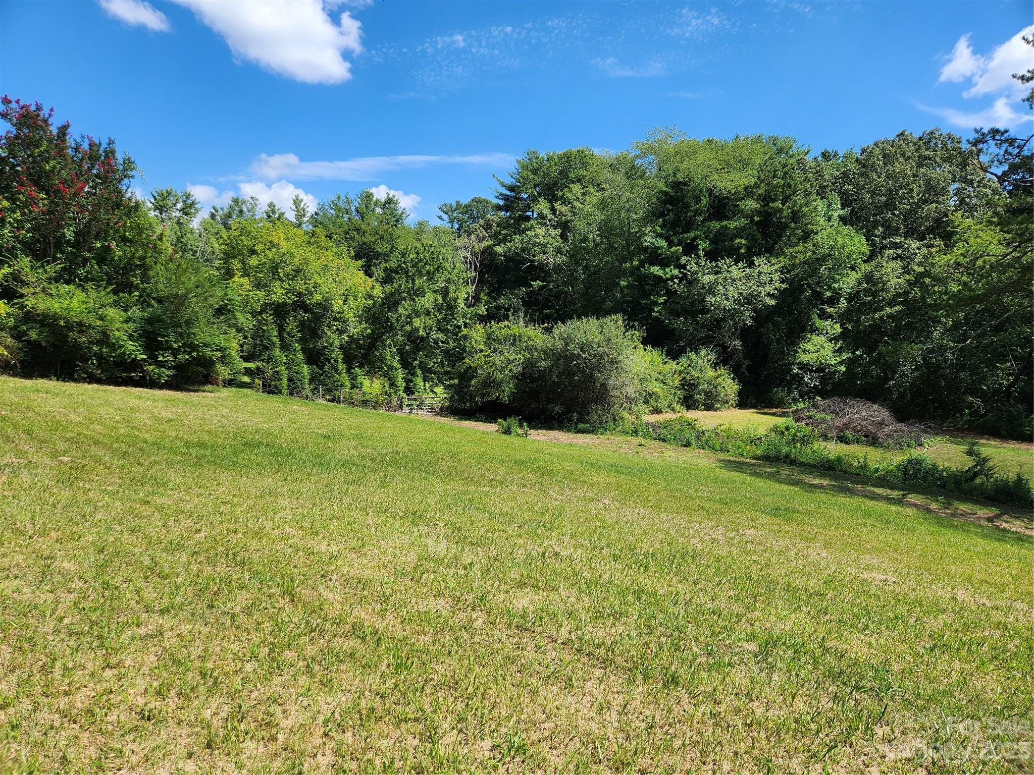 99999 Sheehan Road Arden, NC 28704 - Photo 1 of 3 Gallery Image 1