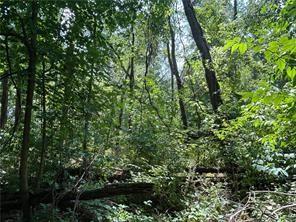0 Songo Pittsburgh, PA 15227 - Photo 13 of 14 a view of a yard