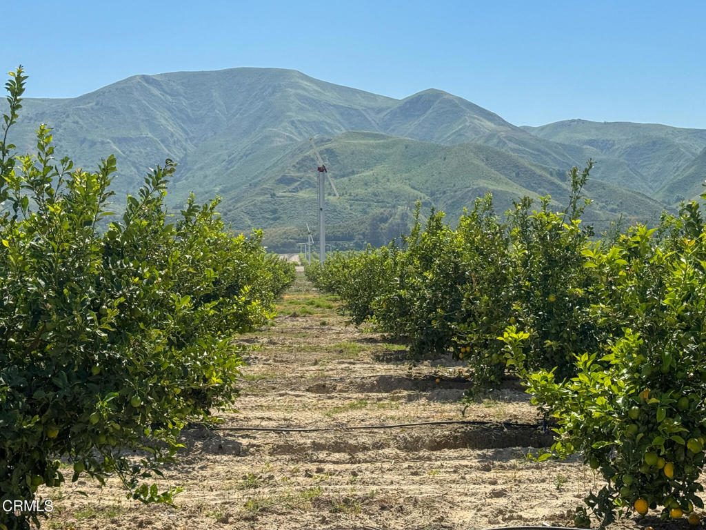 2417 South Mountain Road Fillmore, CA 93015 - Photo 19 of 23 IMG_0425