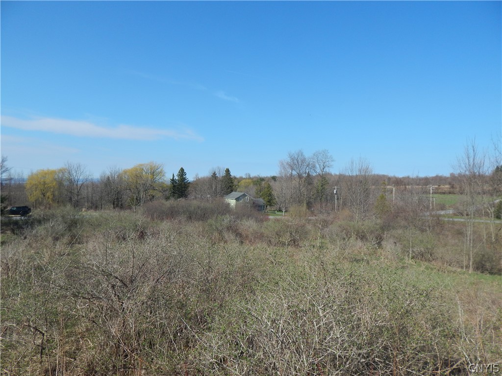 3918 Alene Corners Road Canastota, NY 13032 - Photo 9 of 10