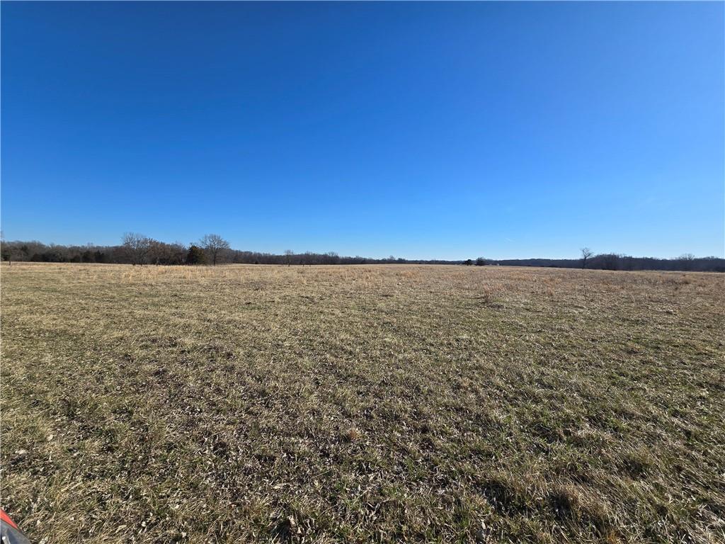 0 Northeast 601st Road Calhoun, MO 65323 - Photo 28 of 49