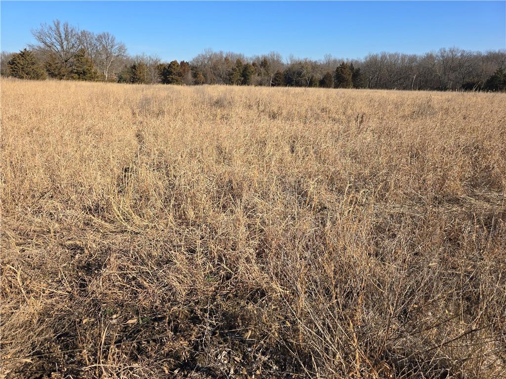 0 Northeast 601st Road Calhoun, MO 65323 - Photo 31 of 49