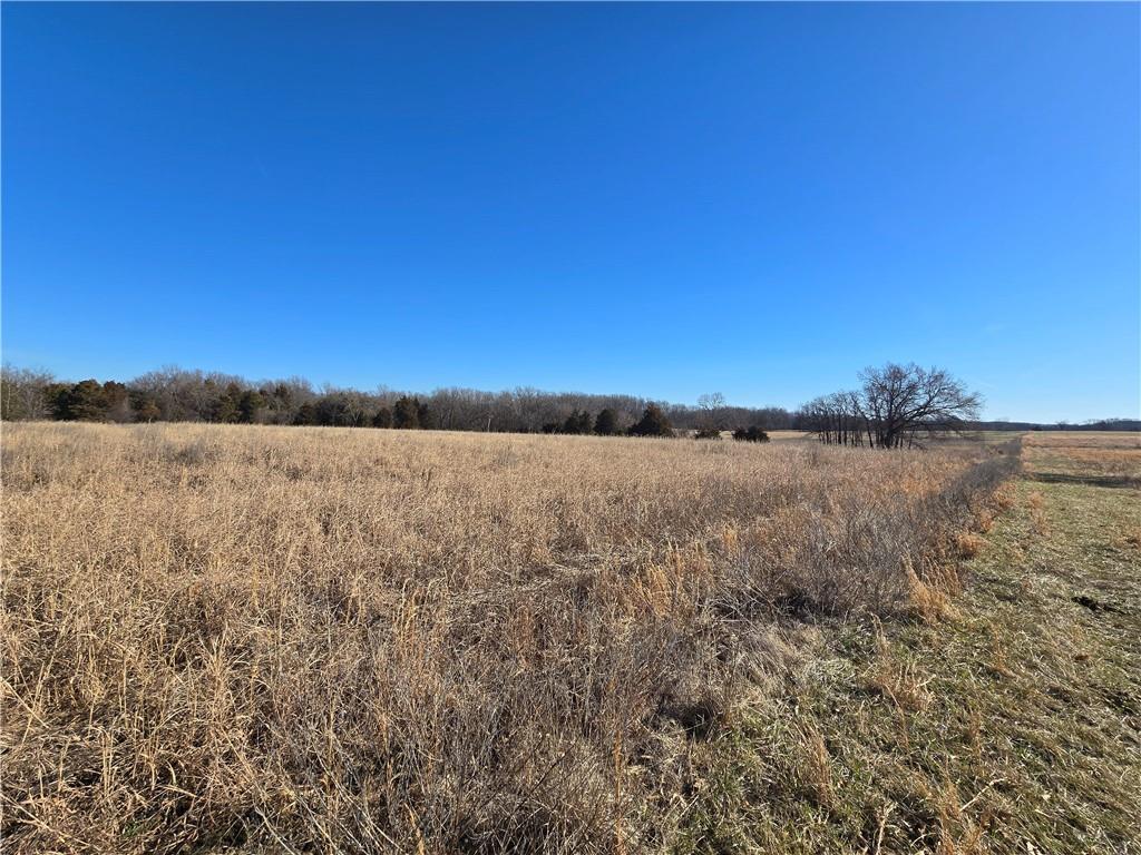 0 Northeast 601st Road Calhoun, MO 65323 - Photo 32 of 49