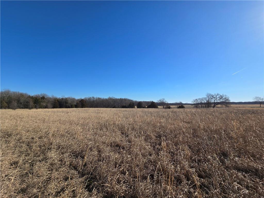 0 Northeast 601st Road Calhoun, MO 65323 - Photo 33 of 49