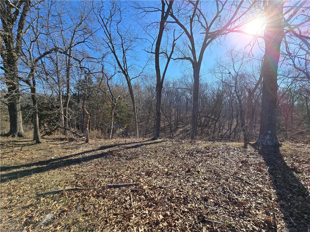 0 Northeast 601st Road Calhoun, MO 65323 - Photo 39 of 49