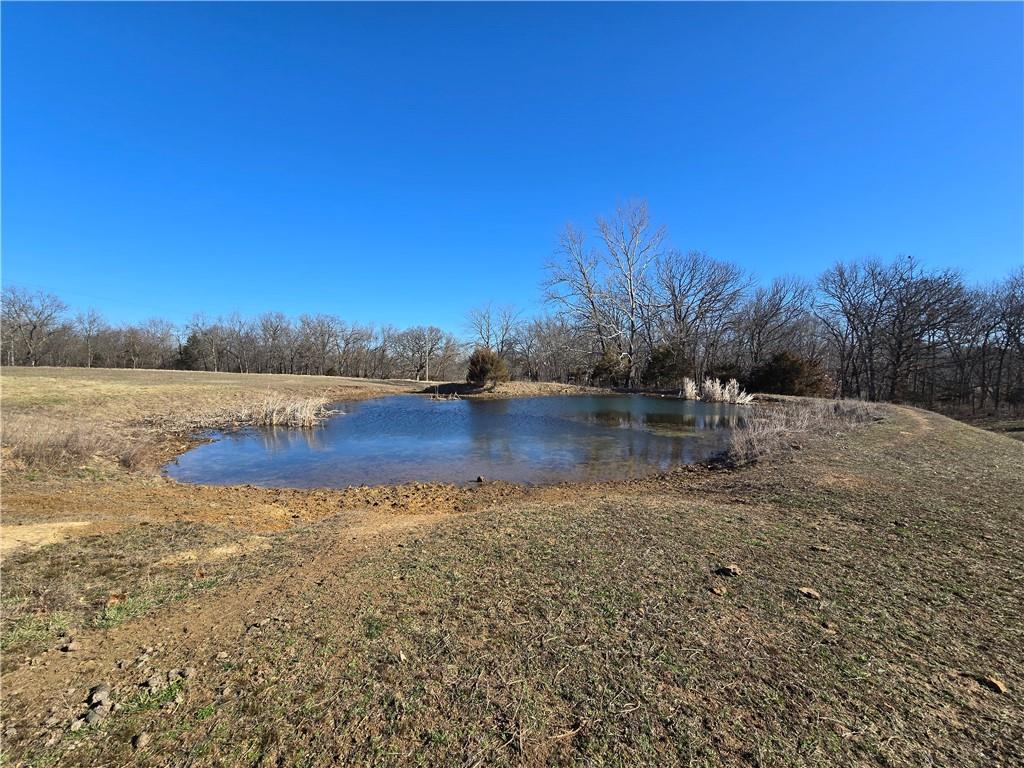 0 Northeast 601st Road Calhoun, MO 65323 - Photo 41 of 49
