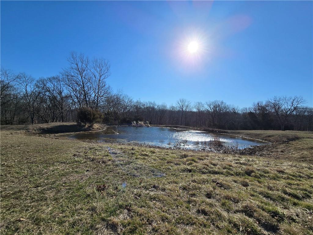 0 Northeast 601st Road Calhoun, MO 65323 - Photo 42 of 49