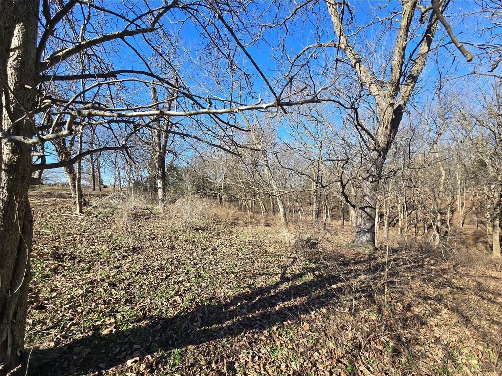 0 Northeast 601st Road Calhoun, MO 65323 - Photo 45 of 49