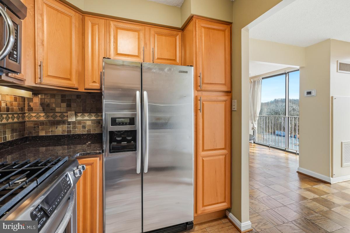 2100 Washington Avenue, Unit 9B Silver Spring, MD 20910 - Photo 14 of 60 Kitchen View