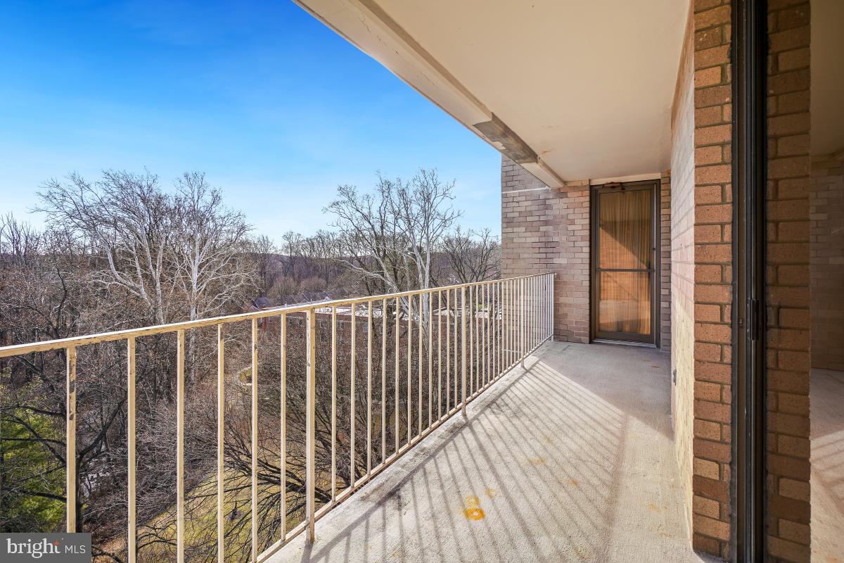 2100 Washington Avenue, Unit 9B Silver Spring, MD 20910 - Photo 18 of 60 Balcony view with Tree Top Views