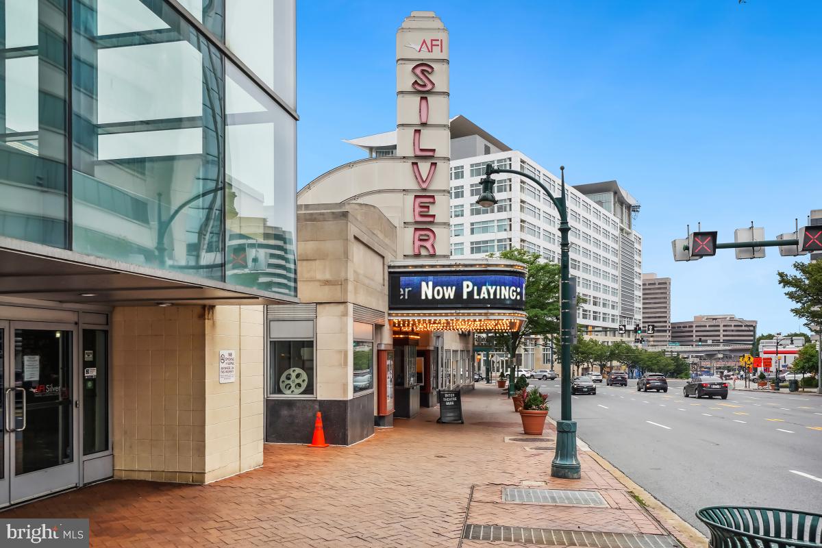 2100 Washington Avenue, Unit 9B Silver Spring, MD 20910 - Photo 36 of 60 Downtown Silver Spring Views