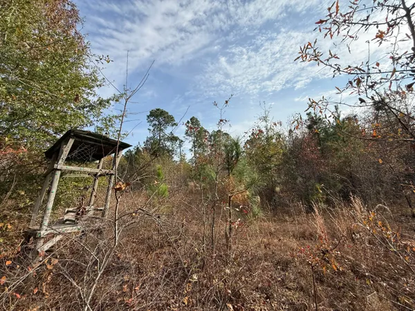 $130,000 | 3391 Davis Bridge Road, Williston, SC 29853