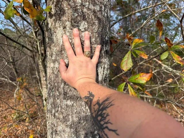 $149,990 | 3391 Davis Bridge Road, Williston, SC 29853