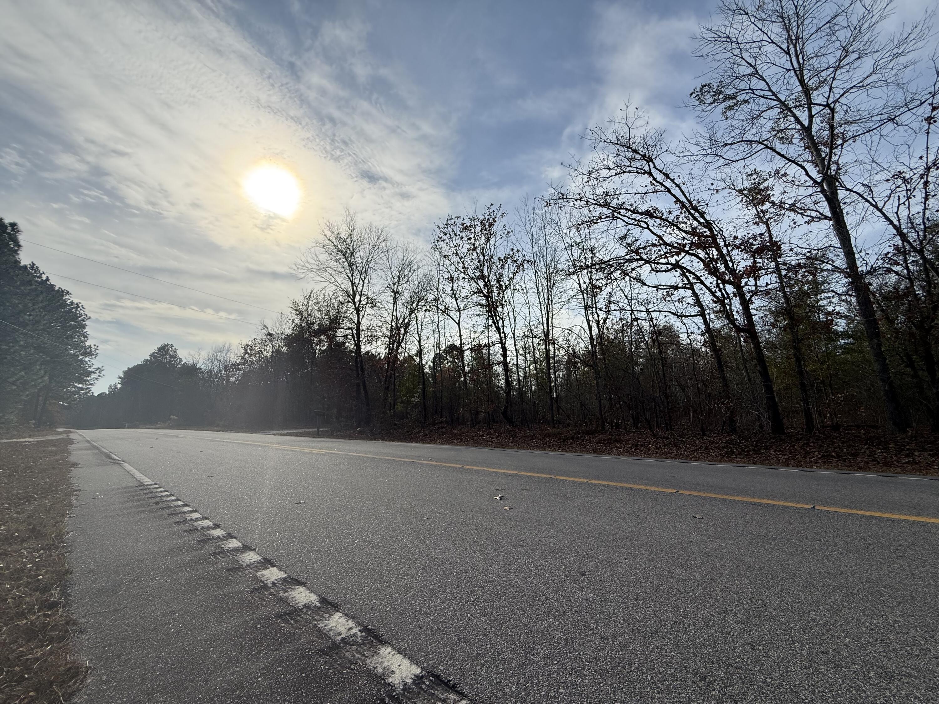 3391 Davis Bridge Road Williston, SC 29853 - Photo 15 of 16 IMG_3924