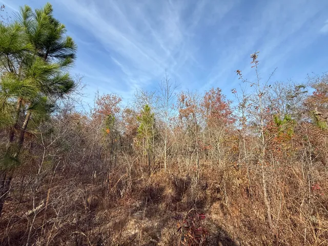 $149,990 | 3391 Davis Bridge Road, Williston, SC 29853