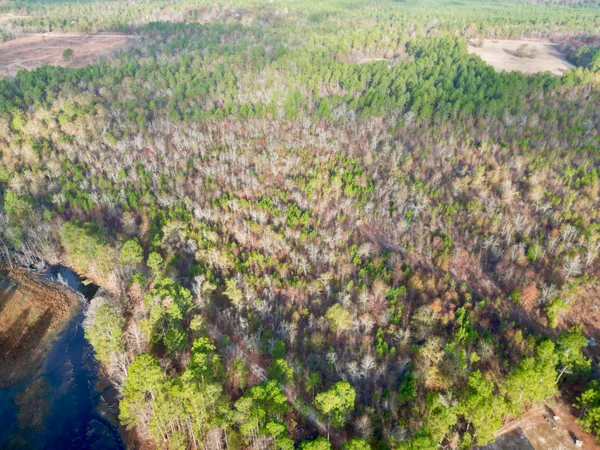 $130,000 | 3391 Davis Bridge Road, Williston, SC 29853