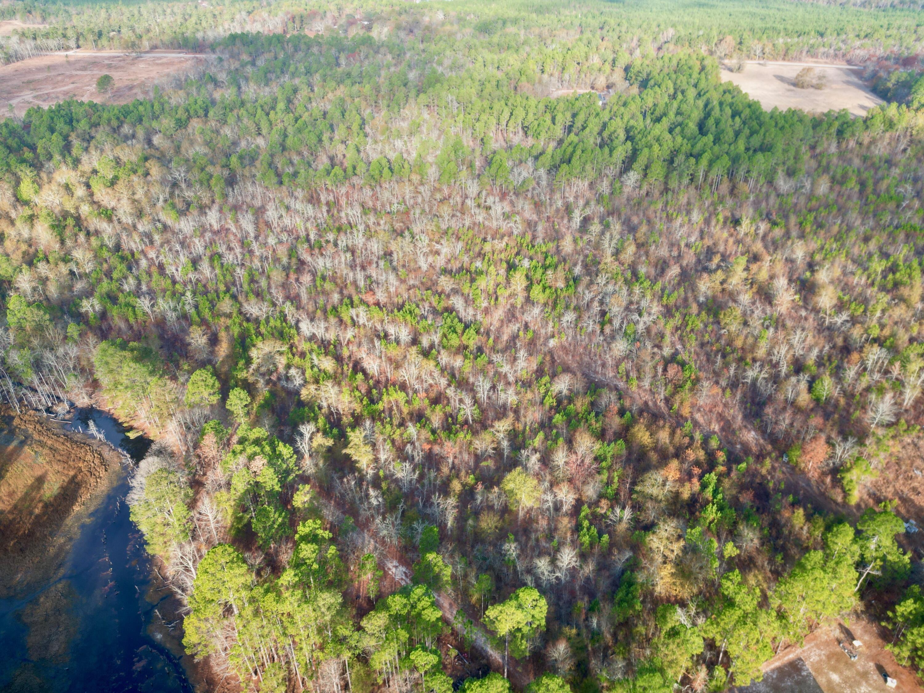 3391 Davis Bridge Road Williston, SC 29853 - Photo 5 of 16 dji-fly-20251124-090514-467-176399376569